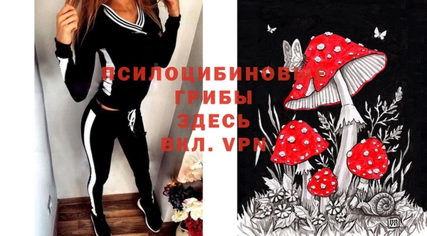 соль ск Навашино