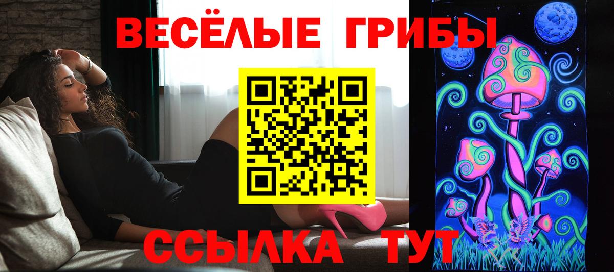 Люберцы  Псилоцибиновые грибы MAGIC MUSHROOMS  Вход с VPN 